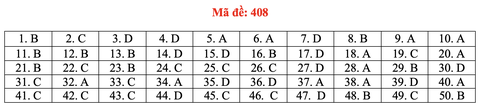 Đề và bài giải môn ngoại ngữ kỳ thi tốt nghiệp THPT 2021 - Ảnh 13. Đề và bài giải môn ngoại ngữ kỳ thi tốt nghiệp THPT 2021 - Ảnh 13.