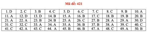 Đề và bài giải môn ngoại ngữ kỳ thi tốt nghiệp THPT 2021 - Ảnh 26.