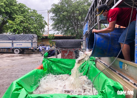 ‘Ăn cá ba sa, Sài Gòn mau hết dịch nha!’ - Ảnh 4. ‘Ăn cá ba sa, Sài Gòn mau hết dịch nha!’ - Ảnh 4.