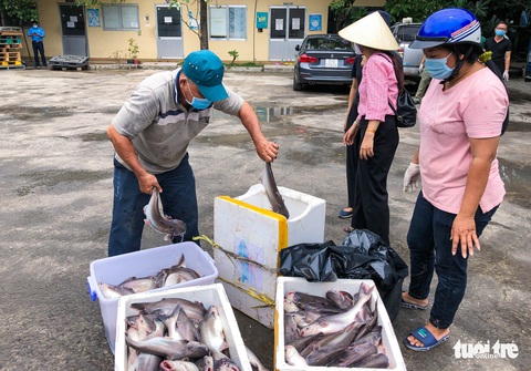 ‘Ăn cá ba sa, Sài Gòn mau hết dịch nha!’ - Ảnh 5. ‘Ăn cá ba sa, Sài Gòn mau hết dịch nha!’ - Ảnh 5.