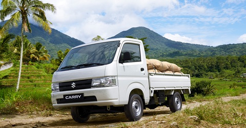 Đầu tư mua Suzuki Carry Pro - một vốn bốn lời! - Ảnh 1. Đầu tư mua Suzuki Carry Pro - một vốn bốn lời! - Ảnh 1.