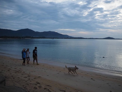 Sau Phuket, Thái Lan tiếp tục mở cửa 3 đảo du lịch tuần tới - Ảnh 1. Sau Phuket, Thái Lan tiếp tục mở cửa 3 đảo du lịch tuần tới - Ảnh 1.
