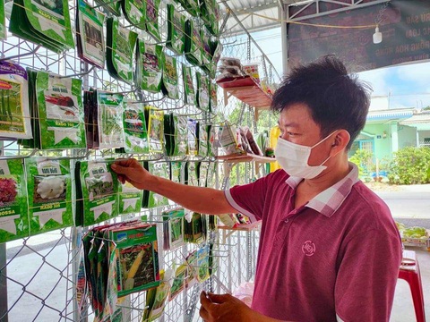 Người phố tăng gia rau xanh - Ảnh 1. Người phố tăng gia rau xanh - Ảnh 1.