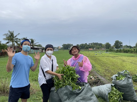 Nhà thiết kế Thuận Việt và 3 tuần cắt 15 tấn rau muống chở đến khu phong tỏa - Ảnh 3. Nhà thiết kế Thuận Việt và 3 tuần cắt 15 tấn rau muống chở đến khu phong tỏa - Ảnh 3.