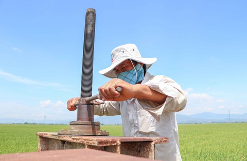 Một mình lo nước tưới cho 240ha lúa của cả làng Chăm đang bị phong tỏa - Ảnh 2. Một mình lo nước tưới cho 240ha lúa của cả làng Chăm đang bị phong tỏa - Ảnh 2.