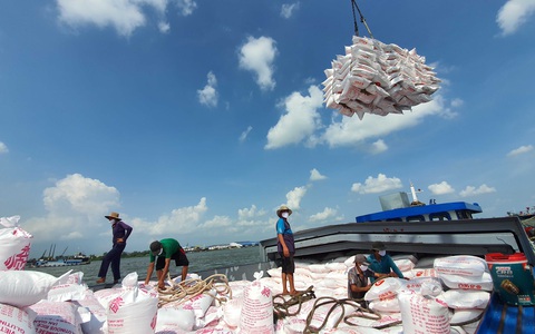 Cần nhanh chóng thành lập ban chỉ đạo sản xuất và tiêu thụ nông sản - Ảnh 1. Cần nhanh chóng thành lập ban chỉ đạo sản xuất và tiêu thụ nông sản - Ảnh 1.