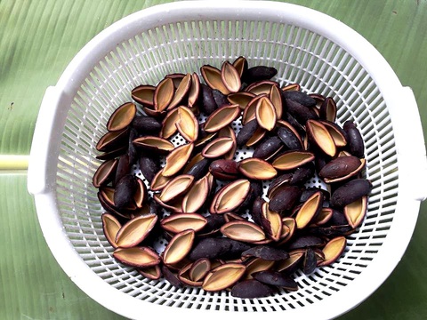 Dẻo thơm nếp nương quyện vị bùi bùi, ngọt ngọt của trám đen - Ảnh 5. Dẻo thơm nếp nương quyện vị bùi bùi, ngọt ngọt của trám đen - Ảnh 5.