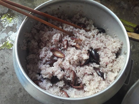 Dẻo thơm nếp nương quyện vị bùi bùi, ngọt ngọt của trám đen - Ảnh 6. Dẻo thơm nếp nương quyện vị bùi bùi, ngọt ngọt của trám đen - Ảnh 6.