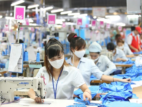 Kiến nghị hỗ trợ lao động chưa ký hợp đồng, chưa đóng bảo hiểm như lao động tự do - Ảnh 1. Kiến nghị hỗ trợ lao động chưa ký hợp đồng, chưa đóng bảo hiểm như lao động tự do - Ảnh 1.