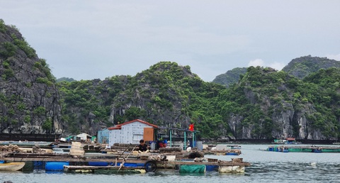 Hải Phòng muốn di dời các hộ nuôi thủy sản trên biển Cát Bà bằng dự án hỗ trợ 68 tỉ đồng - Ảnh 1. Hải Phòng muốn di dời các hộ nuôi thủy sản trên biển Cát Bà bằng dự án hỗ trợ 68 tỉ đồng - Ảnh 1.