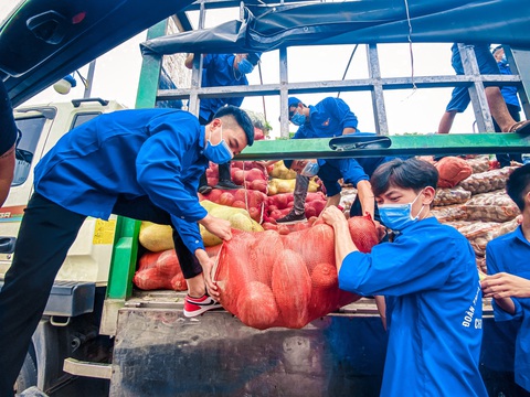 Nối tiếp Bắc Giang, nông sản từ Lào Cai, Vĩnh Phúc, Phú Thọ về tiếp sức thủ đô - Ảnh 1. Nối tiếp Bắc Giang, nông sản từ Lào Cai, Vĩnh Phúc, Phú Thọ về tiếp sức thủ đô - Ảnh 1.