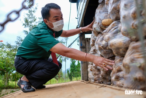 Đoàn xe nối đuôi đi xuyên đêm chở nông sản Đà Lạt tiếp tế cho bà con Đà Nẵng - Ảnh 10. Đoàn xe nối đuôi đi xuyên đêm chở nông sản Đà Lạt tiếp tế cho bà con Đà Nẵng - Ảnh 10.
