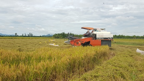 Bộ trưởng Lê Minh Hoan: Hợp tác, liên kết để đưa nông sản vượt qua lời nguyền - Ảnh 2. Bộ trưởng Lê Minh Hoan: Hợp tác, liên kết để đưa nông sản vượt qua lời nguyền - Ảnh 2.