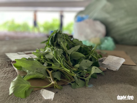 ‘Anh Cường cùng hai em’ nhặt ve chai, cưu mang nhau qua ngày giãn cách - Ảnh 13. ‘Anh Cường cùng hai em’ nhặt ve chai, cưu mang nhau qua ngày giãn cách - Ảnh 13.