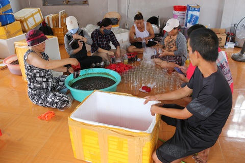 Chăm người về, lo cho người ở lại - Ảnh 1. Chăm người về, lo cho người ở lại - Ảnh 1.
