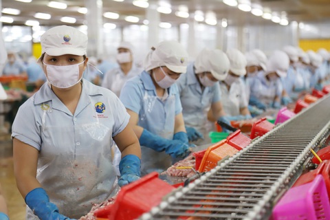 VASEP kiến nghị lên Thủ tướng giải pháp sống chung lâu dài với COVID-19 - Ảnh 1. VASEP kiến nghị lên Thủ tướng giải pháp sống chung lâu dài với COVID-19 - Ảnh 1.