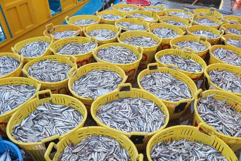 Đã mắt hình ảnh ngư dân Ninh Thuận bất ngờ trúng lớn mùa cá nam - Ảnh 5. Đã mắt hình ảnh ngư dân Ninh Thuận bất ngờ trúng lớn mùa cá nam - Ảnh 5.