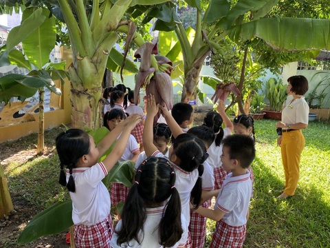 Sắp vào năm học, nhiều phụ huynh chưa đăng ký được lớp 1 cho con - Ảnh 1. Sắp vào năm học, nhiều phụ huynh chưa đăng ký được lớp 1 cho con - Ảnh 1.