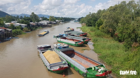 Giá lúa, nếp miền Tây nơi tăng nơi giảm - Ảnh 2. Giá lúa, nếp miền Tây nơi tăng nơi giảm - Ảnh 2.