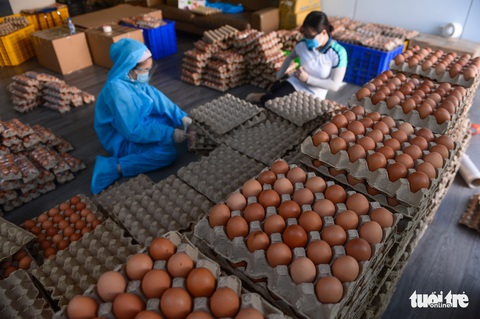 200.000 phần quà 0 đồng đang đến tay người dân khó khăn - Ảnh 2. 200.000 phần quà 0 đồng đang đến tay người dân khó khăn - Ảnh 2.