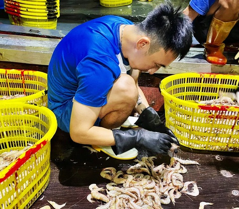 Dừng Giải bóng đá chuyên nghiệp Việt Nam 2021: Hàng ngàn cầu thủ rơi vào khốn khó - Ảnh 1. Dừng Giải bóng đá chuyên nghiệp Việt Nam 2021: Hàng ngàn cầu thủ rơi vào khốn khó - Ảnh 1.