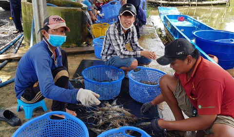 Thực phẩm dồi dào chờ chuyển về TP.HCM - Ảnh 1. Thực phẩm dồi dào chờ chuyển về TP.HCM - Ảnh 1.