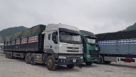 Tạm dừng nhập thanh long Việt Nam, 400 xe nông sản Trung Quốc vẫn được thông quan mỗi ngày - Ảnh 1. Tạm dừng nhập thanh long Việt Nam, 400 xe nông sản Trung Quốc vẫn được thông quan mỗi ngày - Ảnh 1.