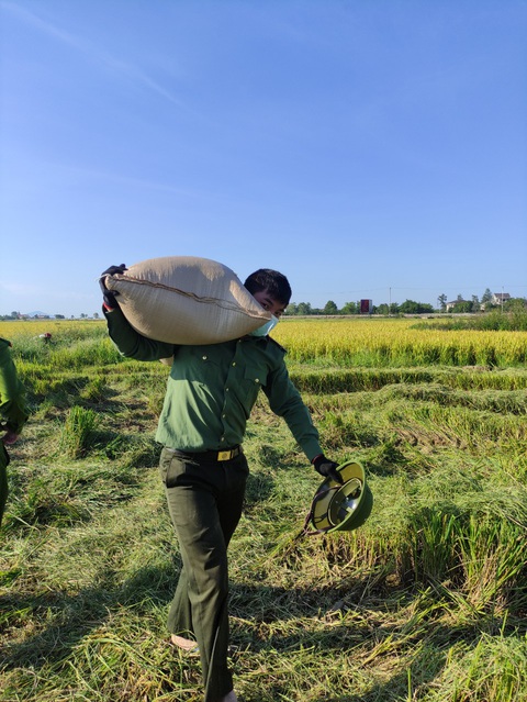 Chiến sĩ công an sáng trực chốt phòng dịch, chiều gặt lúa giúp dân - Ảnh 2. Chiến sĩ công an sáng trực chốt phòng dịch, chiều gặt lúa giúp dân - Ảnh 2.
