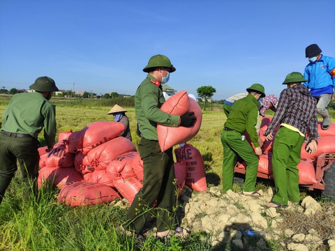 Chiến sĩ công an sáng trực chốt phòng dịch, chiều gặt lúa giúp dân - Ảnh 1. Chiến sĩ công an sáng trực chốt phòng dịch, chiều gặt lúa giúp dân - Ảnh 1.