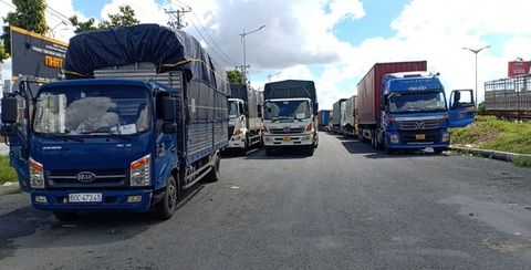 Nhiều tỉnh làm trái chỉ đạo của Thủ tướng trong vận chuyển hàng hóa - Ảnh 1. Nhiều tỉnh làm trái chỉ đạo của Thủ tướng trong vận chuyển hàng hóa - Ảnh 1.