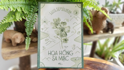 Hoa hồng sa mạc: Ngày mai, vì tình yêu - Ảnh 1. Hoa hồng sa mạc: Ngày mai, vì tình yêu - Ảnh 1.