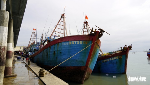 Bà Rịa - Vũng Tàu tạm dừng tàu cá xuất bến để bóc tách F0 - Ảnh 2. Bà Rịa - Vũng Tàu tạm dừng tàu cá xuất bến để bóc tách F0 - Ảnh 2.