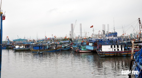 Bà Rịa - Vũng Tàu tạm dừng tàu cá xuất bến để bóc tách F0 - Ảnh 1. Bà Rịa - Vũng Tàu tạm dừng tàu cá xuất bến để bóc tách F0 - Ảnh 1.