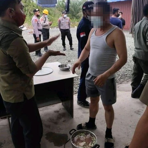 5 người Trung Quốc đối mặt án tù vì làm thịt cá sấu hoang dã - Ảnh 3. 5 người Trung Quốc đối mặt án tù vì làm thịt cá sấu hoang dã - Ảnh 3.