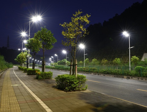 Đèn LED chiếu sáng đường phố làm giảm số lượng côn trùng - Ảnh 1. Đèn LED chiếu sáng đường phố làm giảm số lượng côn trùng - Ảnh 1.