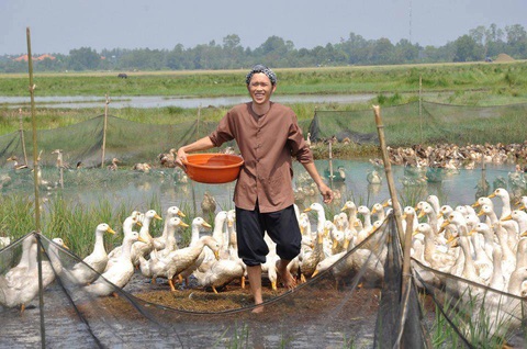 Phương Thanh cảnh báo chiêu tố lừa đảo; kênh YouTube của Hoài Linh tuột dốc không phanh - Ảnh 5. Phương Thanh cảnh báo chiêu tố lừa đảo; kênh YouTube của Hoài Linh tuột dốc không phanh - Ảnh 5.