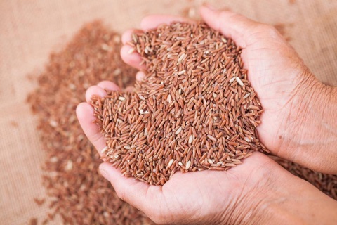 Cách lựa chọn sản phẩm hỗ trợ phòng ngừa đột quỵ đạt chất lượng Nhật Bản - Ảnh 1. Cách lựa chọn sản phẩm hỗ trợ phòng ngừa đột quỵ đạt chất lượng Nhật Bản - Ảnh 1.