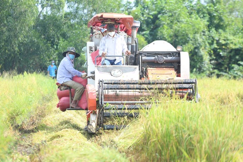 Bộ đội vác lúa, hội nông dân đi mua phân bón giúp dân TP.HCM - Ảnh 3. Bộ đội vác lúa, hội nông dân đi mua phân bón giúp dân TP.HCM - Ảnh 3.