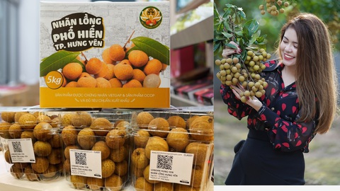 Nhãn lồng Hưng Yên bán hơn 220.000 đồng mỗi ký tại Singapore - Ảnh 1. Nhãn lồng Hưng Yên bán hơn 220.000 đồng mỗi ký tại Singapore - Ảnh 1.
