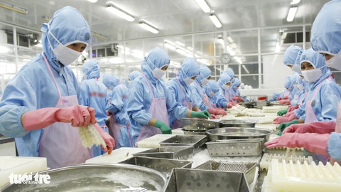 Bộ Nông nghiệp nêu giải pháp cho nông sản không đứt gãy chuỗi cung ứng - Ảnh 1. Bộ Nông nghiệp nêu giải pháp cho nông sản không đứt gãy chuỗi cung ứng - Ảnh 1.