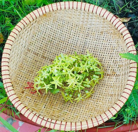 Tủ lạnh mùa giãn cách chẳng có thịt bò, thiên lý xào tỏi, ngon đến ngỡ ngàng - Ảnh 3. Tủ lạnh mùa giãn cách chẳng có thịt bò, thiên lý xào tỏi, ngon đến ngỡ ngàng - Ảnh 3.