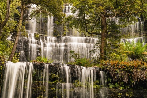 Khám phá Tasmania - hòn đảo của những điều đặc biệt - Ảnh 2. Khám phá Tasmania - hòn đảo của những điều đặc biệt - Ảnh 2.