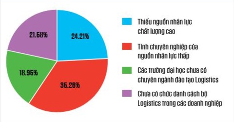 Phát triển nhân lực ngành Kinh doanh Quốc tế trong bối cảnh hội nhập khu vực và quốc tế - Ảnh 1. Phát triển nhân lực ngành Kinh doanh Quốc tế trong bối cảnh hội nhập khu vực và quốc tế - Ảnh 1.