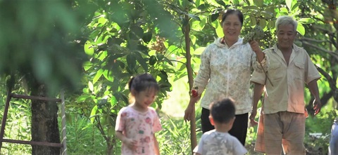 Nhãn Hưng Yên và một mùa thu hoạch thật khác - Ảnh 6. Nhãn Hưng Yên và một mùa thu hoạch thật khác - Ảnh 6.