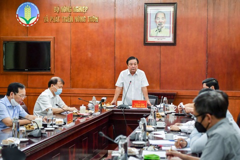 Lúa miền Tây đầy đồng nhưng vắng người mua, Bộ trưởng Lê Minh Hoan đề xuất lên Chính phủ - Ảnh 2. Lúa miền Tây đầy đồng nhưng vắng người mua, Bộ trưởng Lê Minh Hoan đề xuất lên Chính phủ - Ảnh 2.
