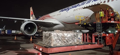Hôm nay 8-8: 10.000 lọ thuốc Remdesivir được phân bổ điều trị bệnh nhân COVID-19 ở TP.HCM - Ảnh 1. Hôm nay 8-8: 10.000 lọ thuốc Remdesivir được phân bổ điều trị bệnh nhân COVID-19 ở TP.HCM - Ảnh 1.