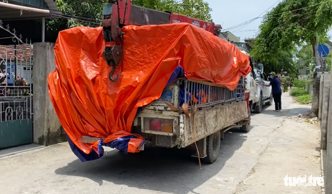 4 nguyên nhân khiến 8/17 con hổ nuôi nhốt được ‘giải cứu’ bị chết - Ảnh 2. 4 nguyên nhân khiến 8/17 con hổ nuôi nhốt được ‘giải cứu’ bị chết - Ảnh 2.