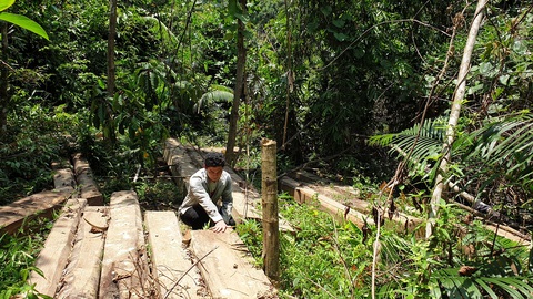Rừng phòng hộ mất hàng trăm gốc mà chủ rừng vô can - Ảnh 2. Rừng phòng hộ mất hàng trăm gốc mà chủ rừng vô can - Ảnh 2.