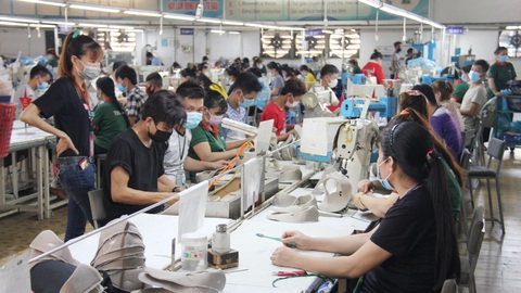 Dòng tiền nào cho các doanh nghiệp đã đuối sức rồi? - Ảnh 3. Dòng tiền nào cho các doanh nghiệp đã đuối sức rồi? - Ảnh 3.