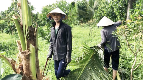 Về nhà! - Ảnh 1. Về nhà! - Ảnh 1.